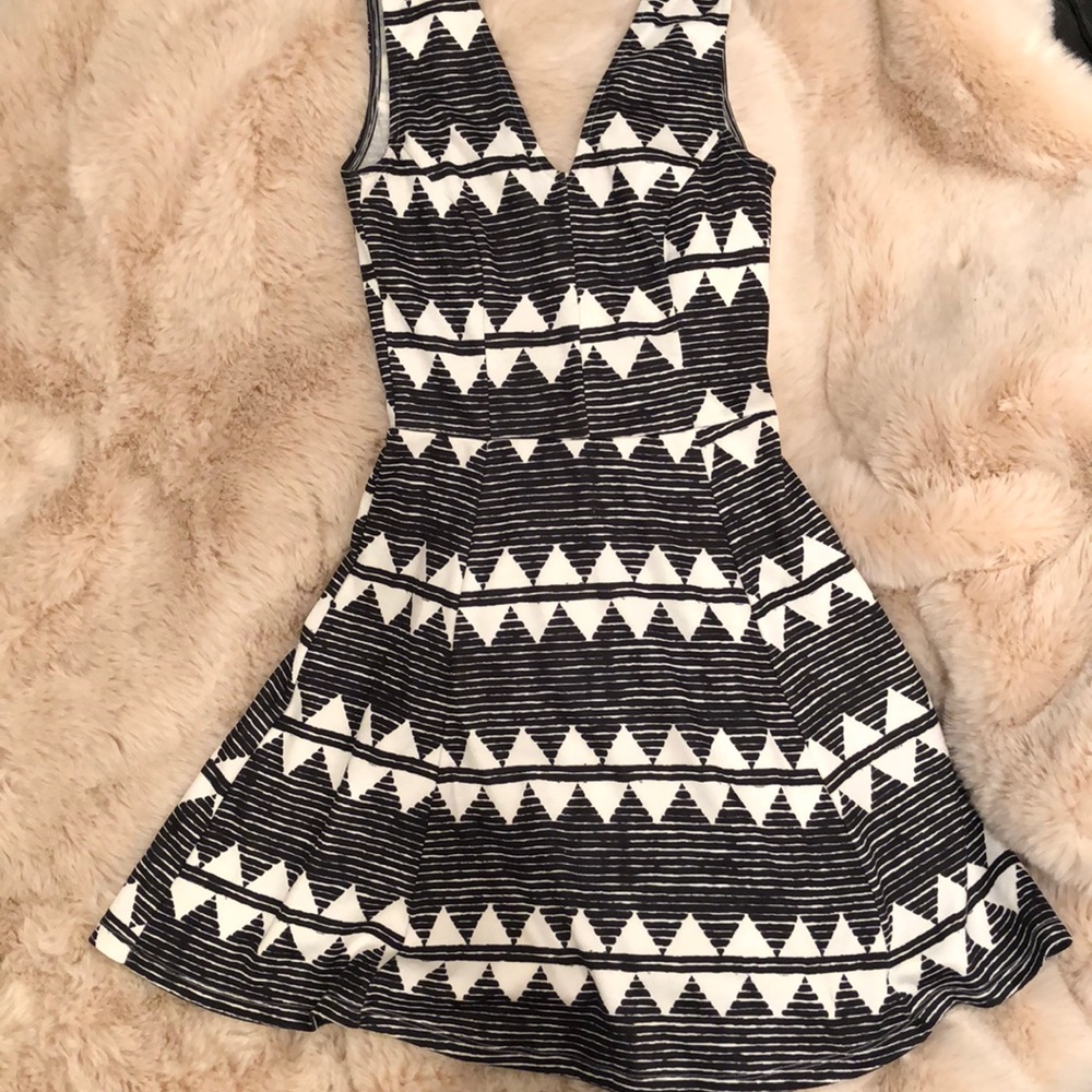 Fit and Flare Black and White Mini Dress